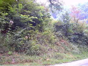 - Russell Hill Road Elizabethton, TN 37643 - Photo 1 of 1 Photo 1