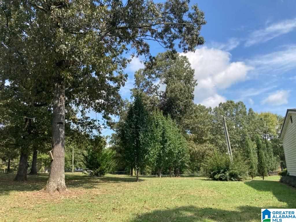 2588 Kirkseys Bend Ohatchee, AL 36271 - Photo 11 of 32