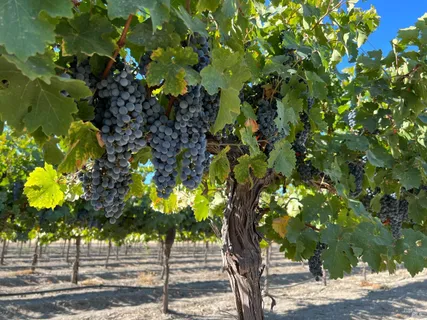 a view of an ocean and mountain