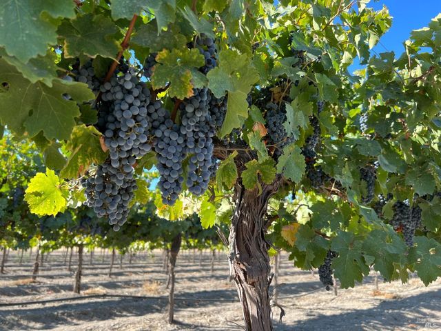 a view of an ocean and mountain