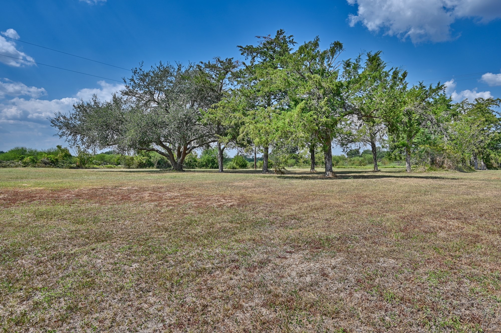 9137 Conner Road Washington, TX 77880 - Photo 22 of 44 a view of a field with trees in the background