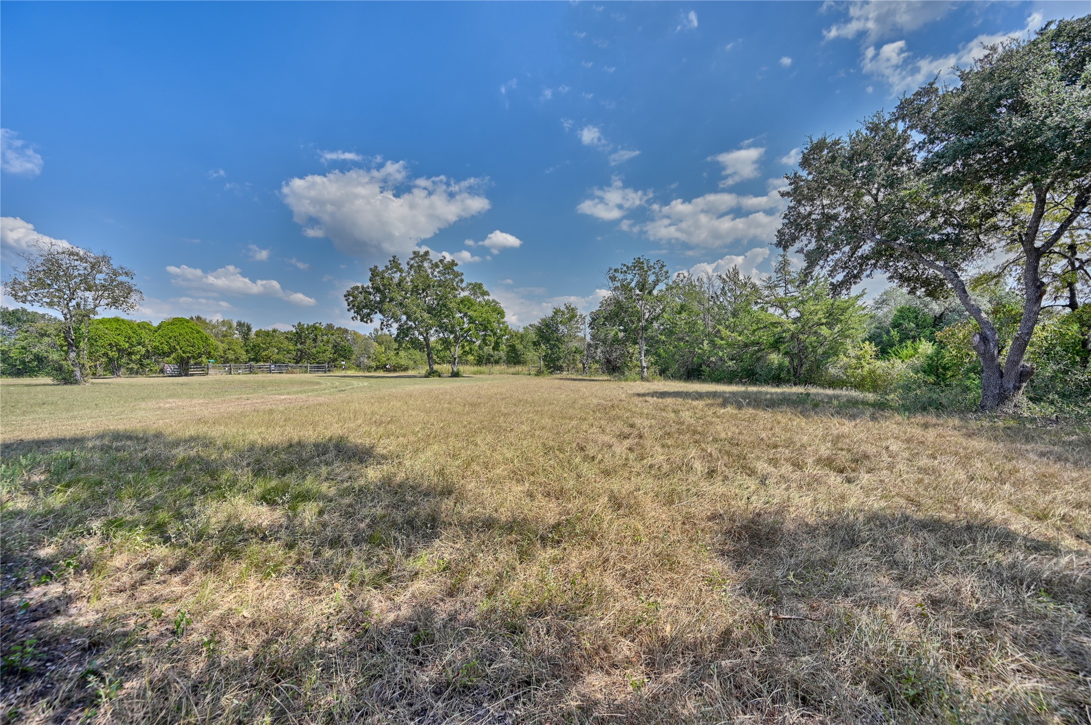9137 Conner Road Washington, TX 77880 - Photo 27 of 44 a view of a big yard with large trees