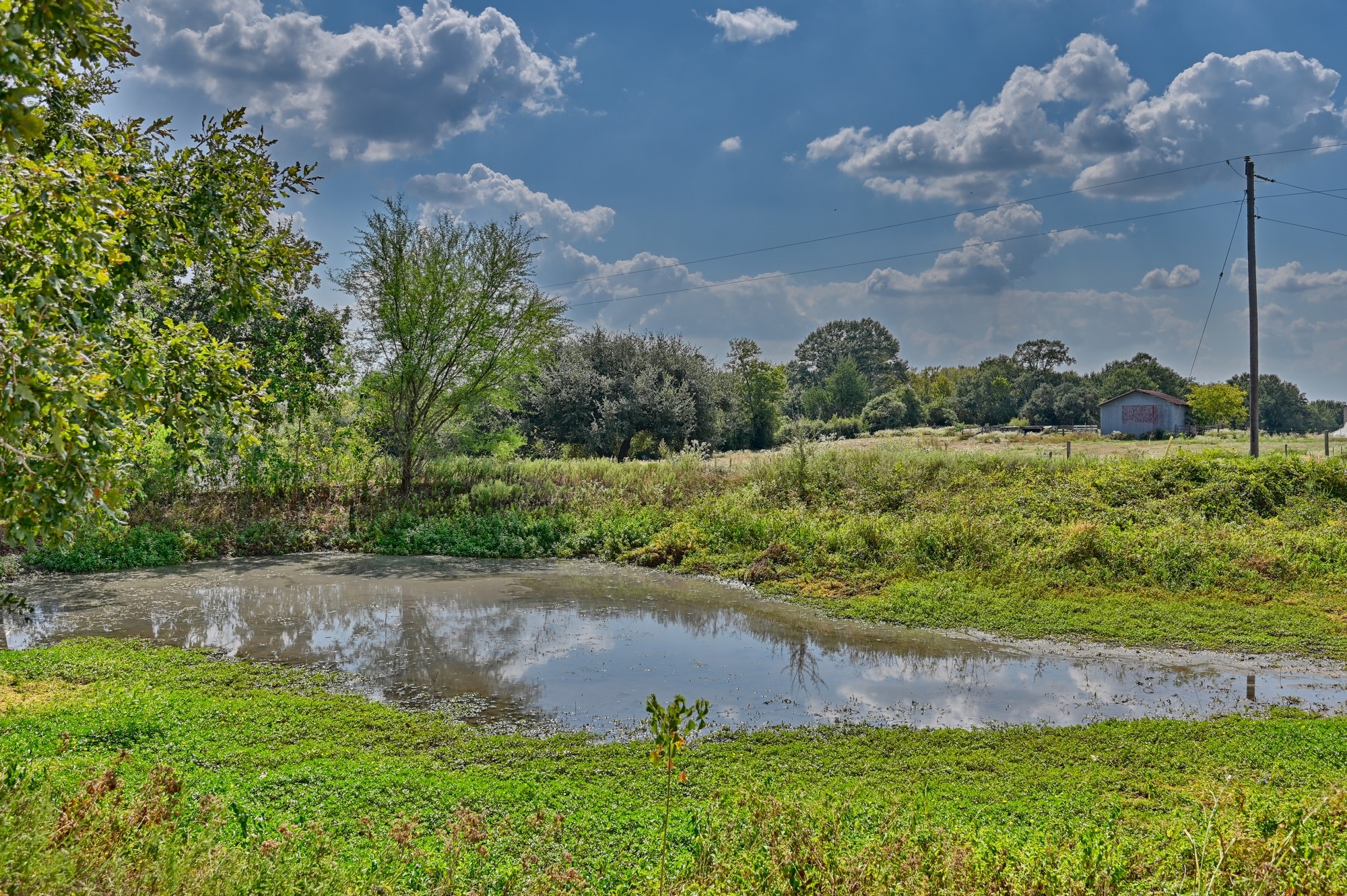 9137 Conner Road Washington, TX 77880 - Photo 37 of 44 a view of a lake with a yard