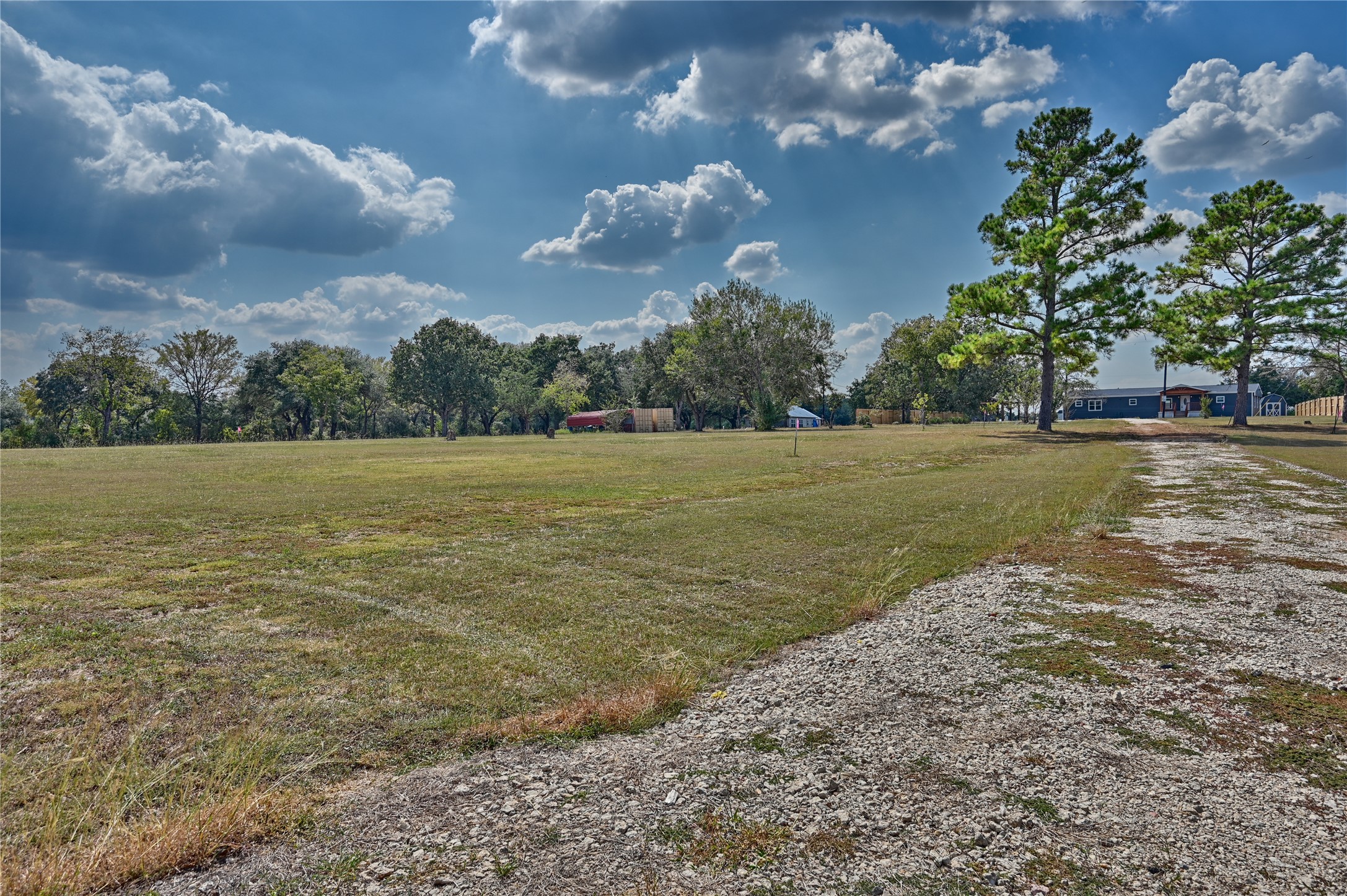 9137 Conner Road Washington, TX 77880 - Photo 9 of 44 a view of yard with ocean and trees in the background