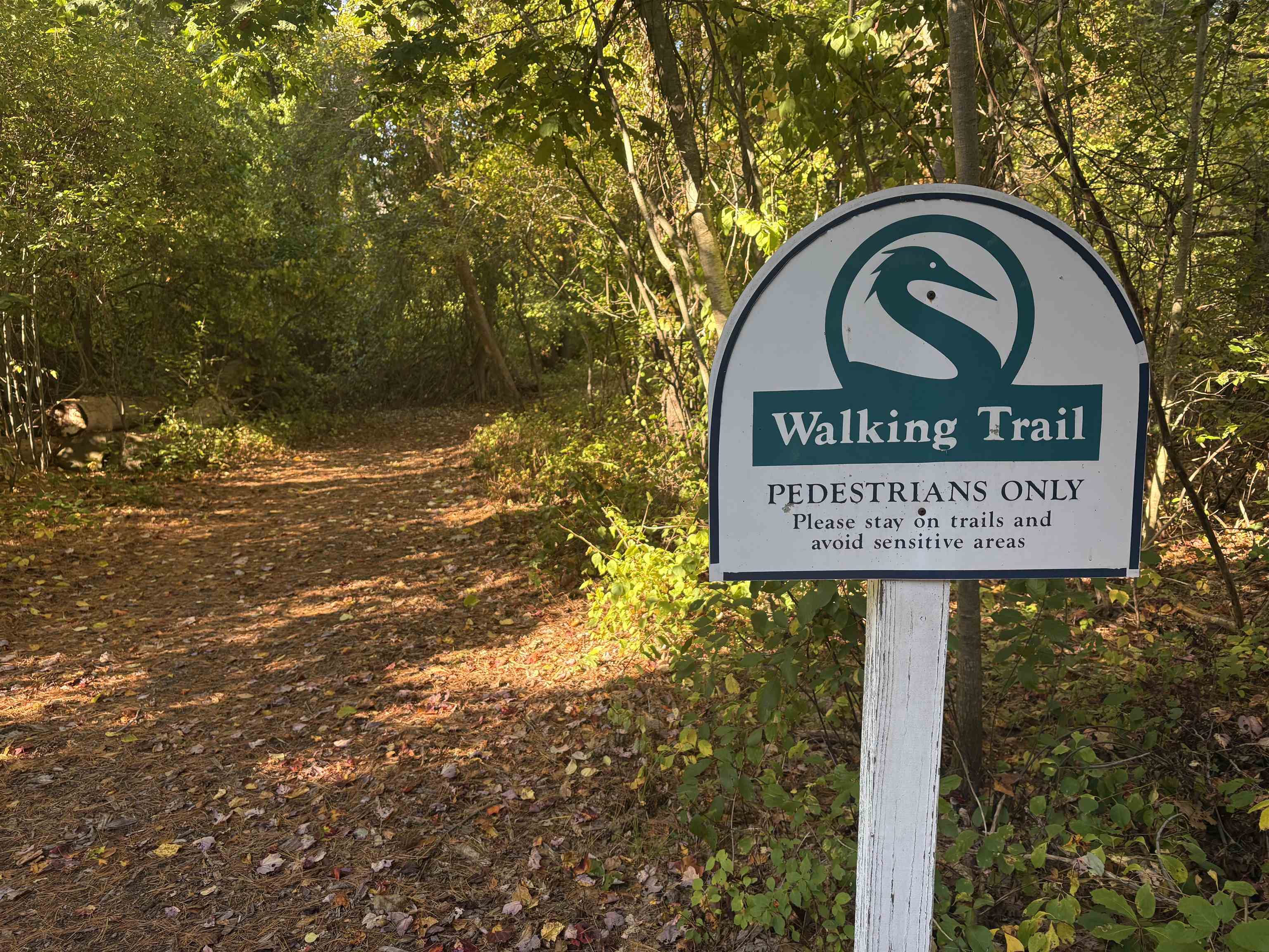 100 Shepard's Cove Road, Unit F204 Kittery, ME 03904 - Photo 49 of 51