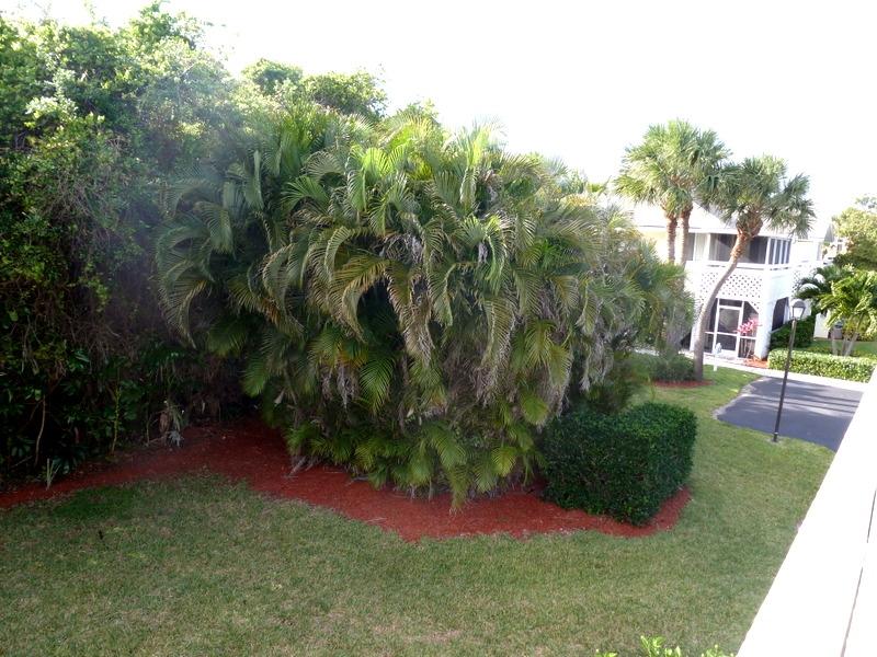 353 Highway 1, Unit C5 Jupiter, FL 33477 - Photo 26 of 45 P1040938