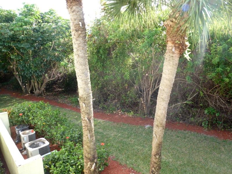 353 Highway 1, Unit C5 Jupiter, FL 33477 - Photo 27 of 45 P1040939