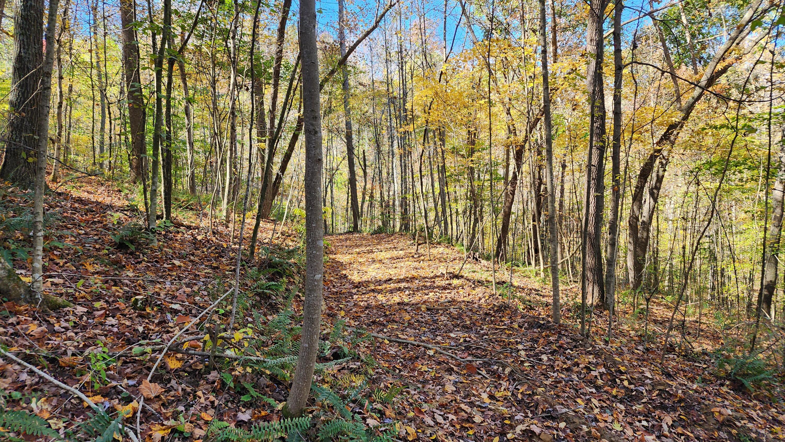 0 Vandergriff Road, Unit TRACT 6) South Bloomingville, OH 43152 - Photo 21 of 59 20231023_141110