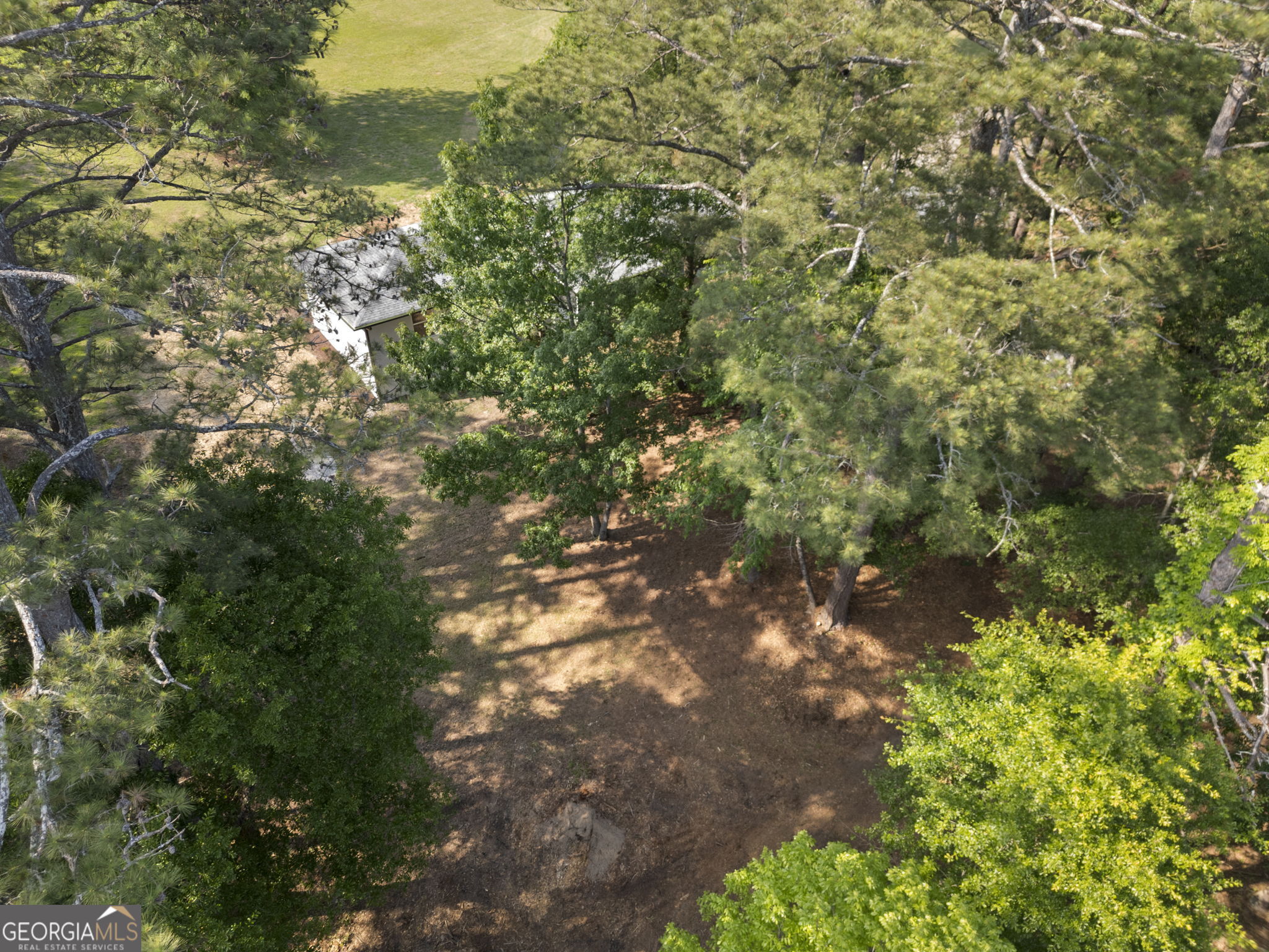 2604 Flat Shoals Road Southwest Conyers, GA 30094 - Photo 10 of 44 a view of a tree in a yard