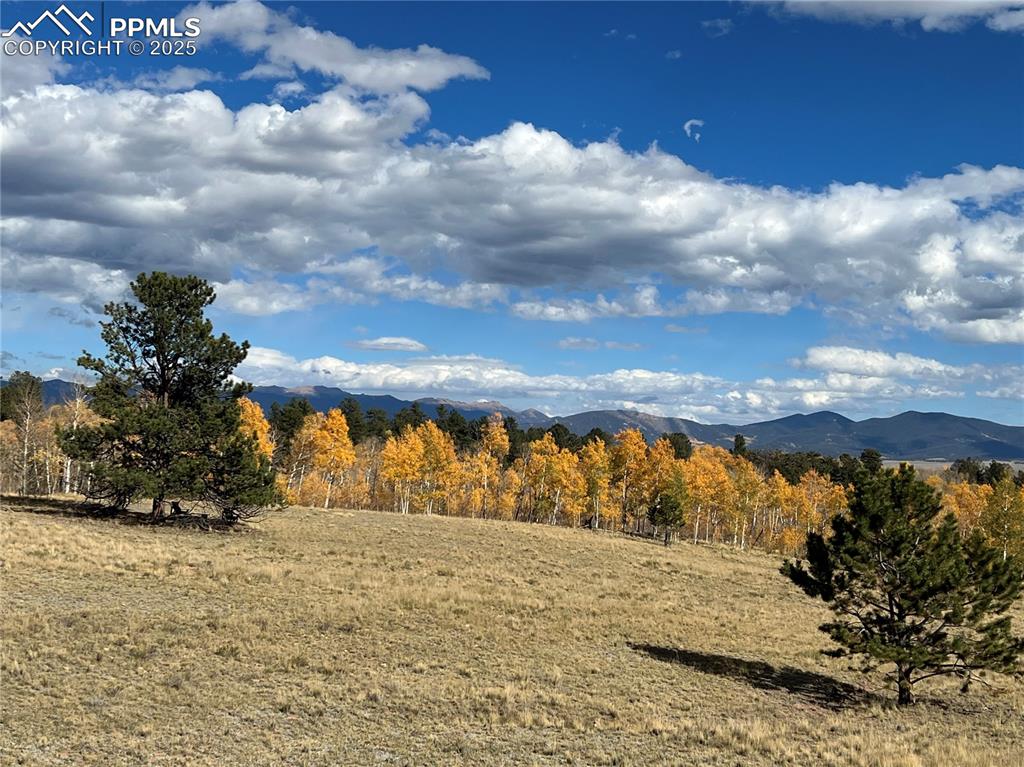 2387 Buffalo Ridge Road Como, CO 80456 - Photo 34 of 50