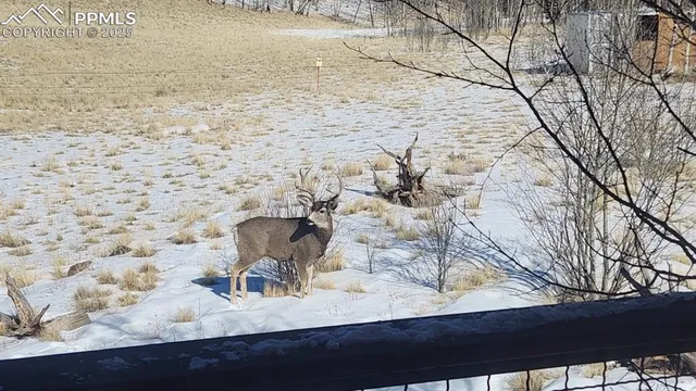 a view of a lake in middle of the forest