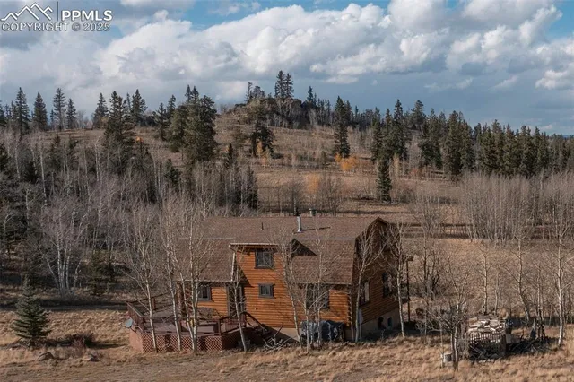a view of a park with large trees