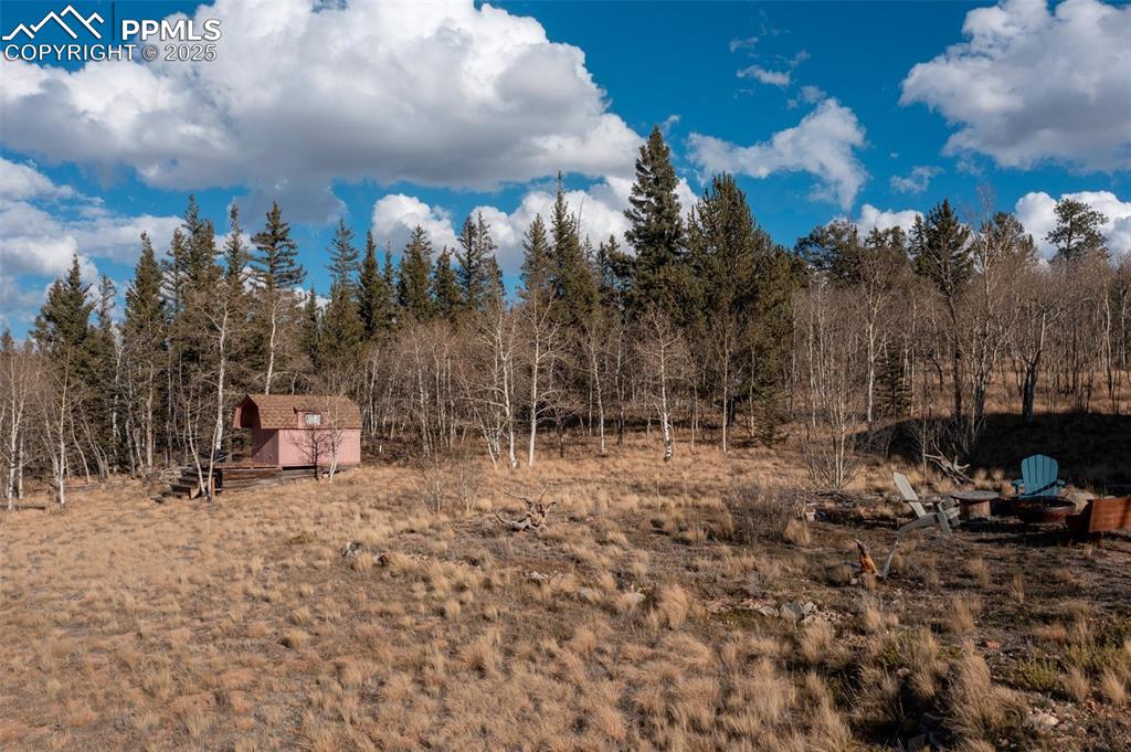 2387 Buffalo Ridge Road Como, CO 80456 - Photo 41 of 50 a view of a park with large trees