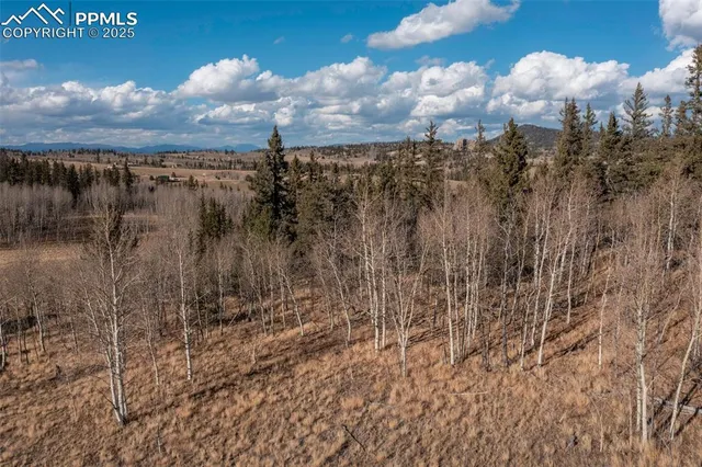 $575,000 | 2387 Buffalo Ridge Road, Como, CO 80456