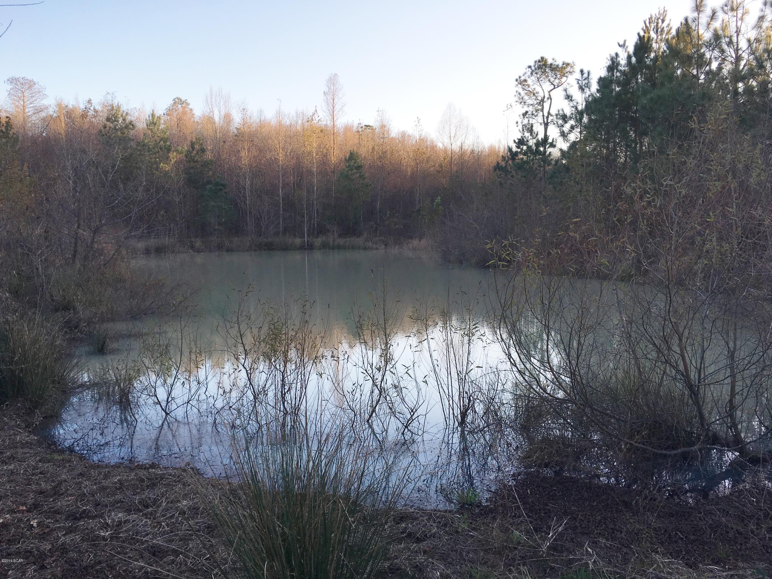 1979 Mutual Road Cottondale, FL 32431 - Photo 43 of 45