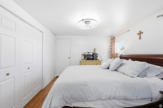 1525 South 400 East, Unit 13 Springville, UT 84663 - Photo 18 of 32 Bright interior space featuring wood-finish flooring, white walls, and a modern ceiling light fixture