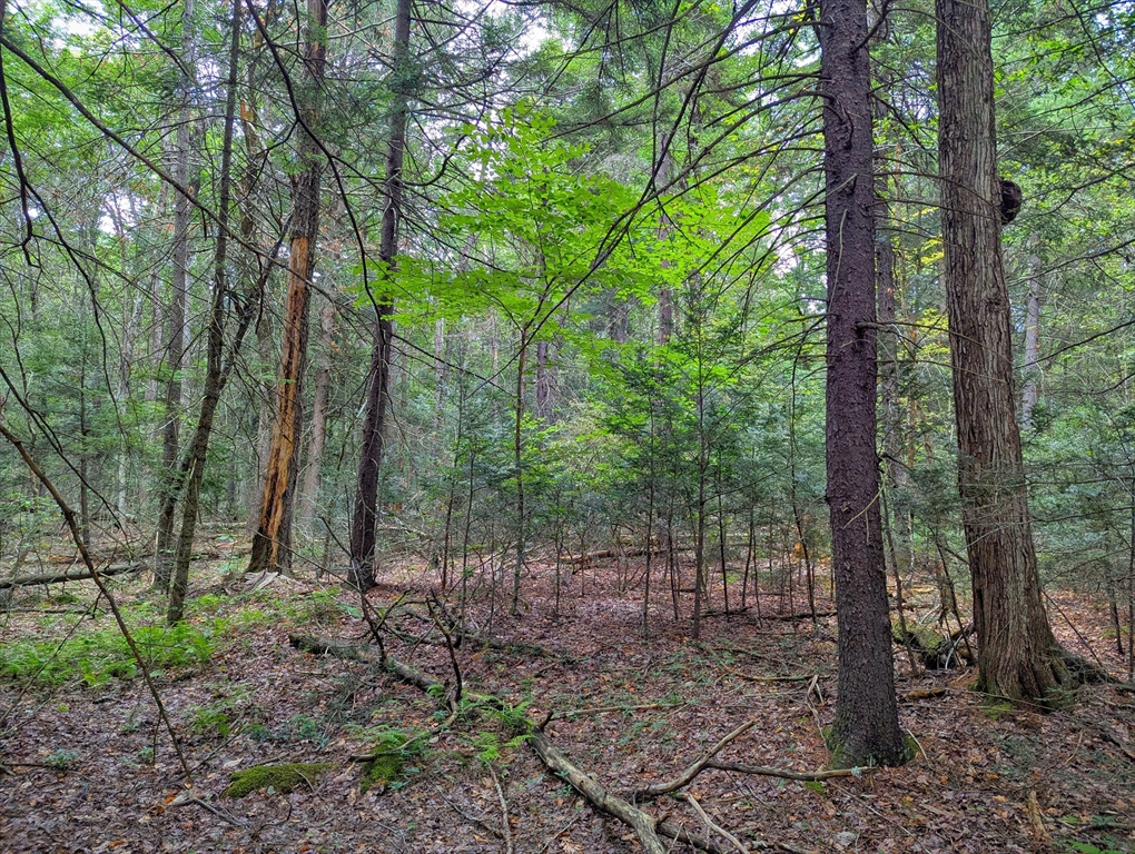 0 Hamilton Road Becket, MA 01223 - Photo 8 of 10 Gallery Image 8