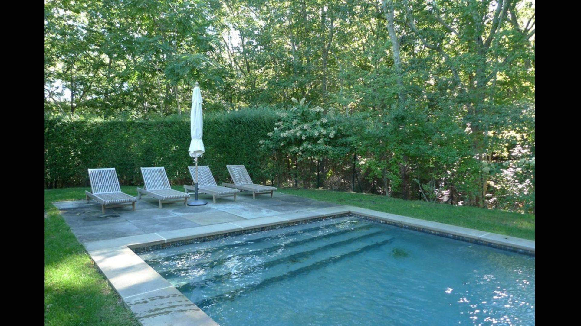 a view of a park with large trees