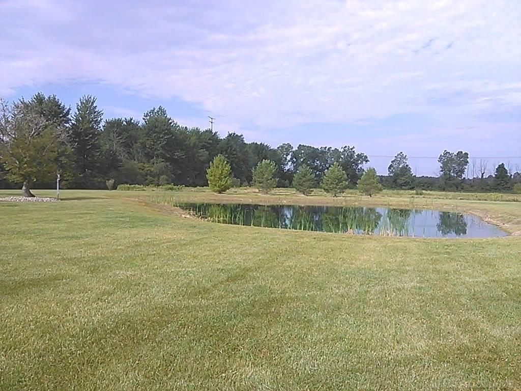 445 Fitz Road Goodells, MI 48027 - Photo 14 of 31