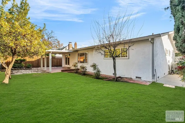 a view of a yard with plants and large trees