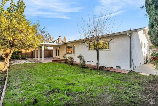 a view of a yard with plants and large trees