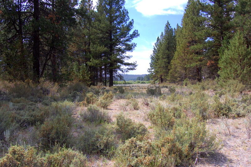 1900 Sprague River Road Chiloquin, OR 97624 - Photo 13 of 17 DSC_2229