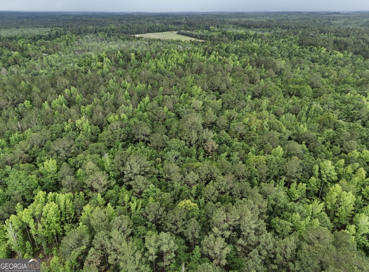 0 Duck Pond Road Sylvania, GA 30467 - Photo 3 of 8