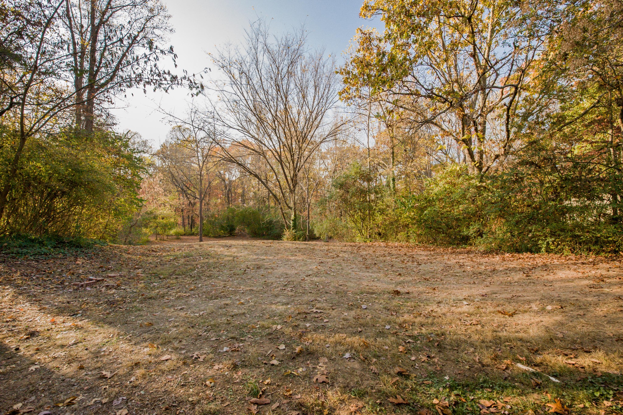 101 Orange Lane Oak Ridge, TN 37830 - Photo 8 of 32 Gallery Image 8