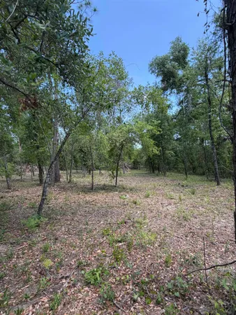 $12,500 | Northeast Ivy Drive, Lee, FL 32059