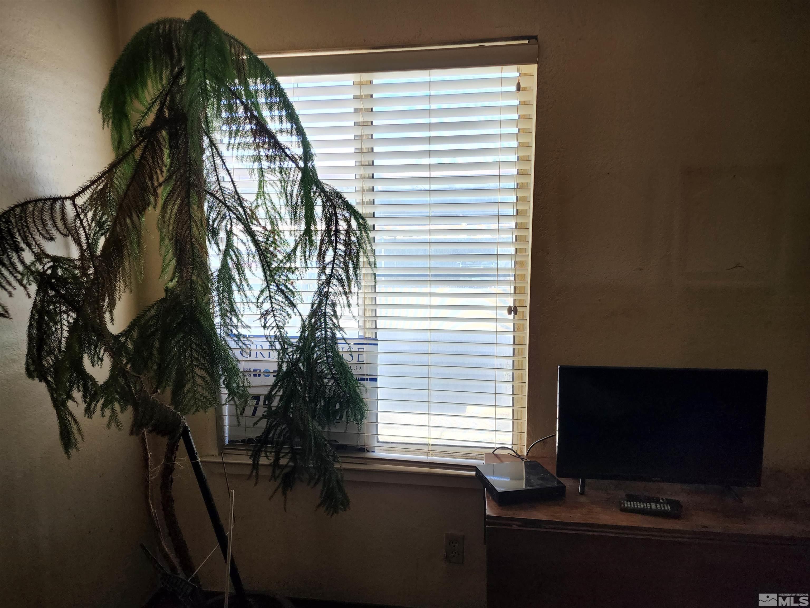 4600 Neil Road, Unit 9 Reno, NV 89502 - Photo 12 of 21 a view of balcony with a potted plant on a table