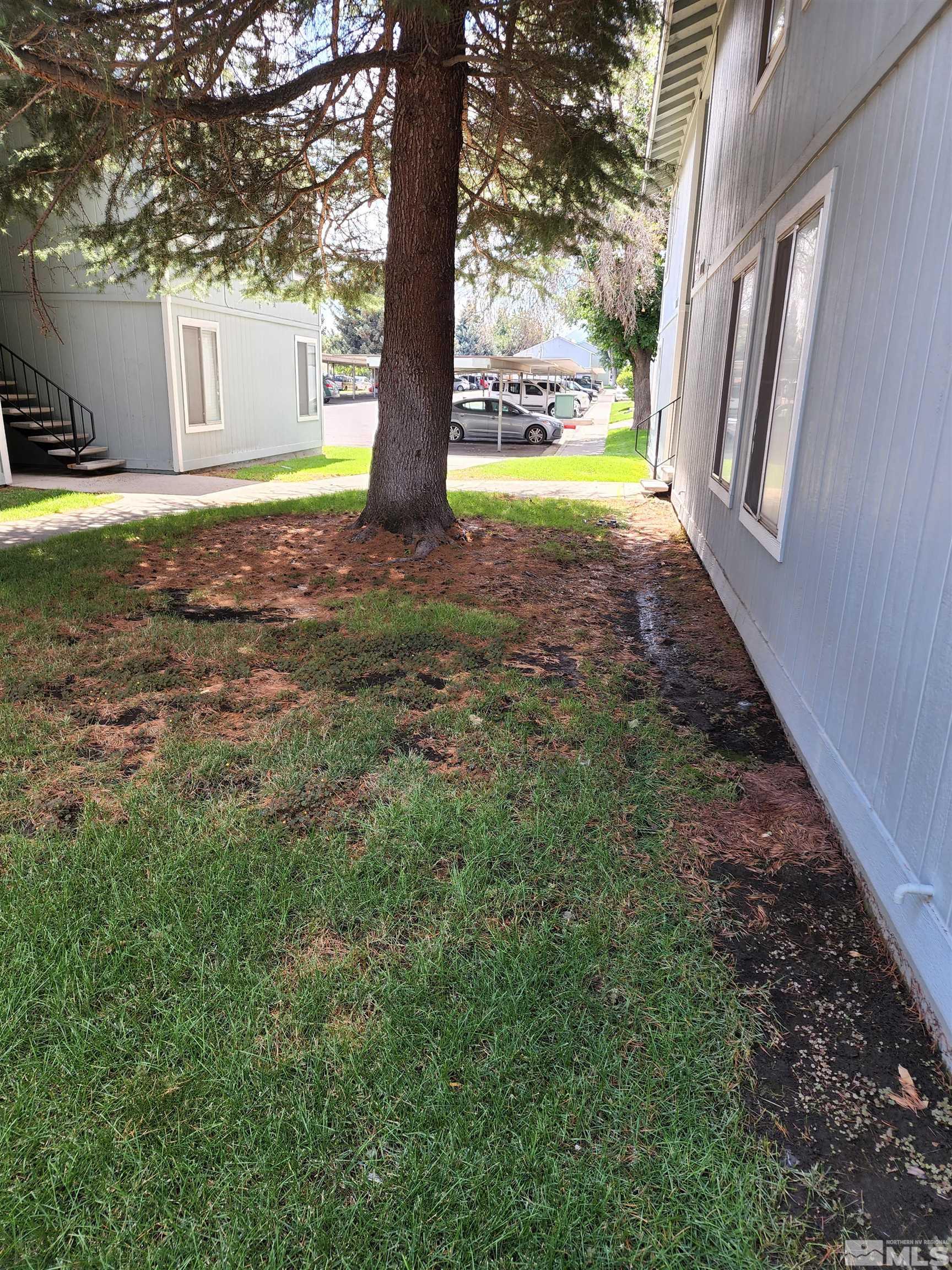4600 Neil Road, Unit 9 Reno, NV 89502 - Photo 8 of 21 a view of a yard with porch and a tree