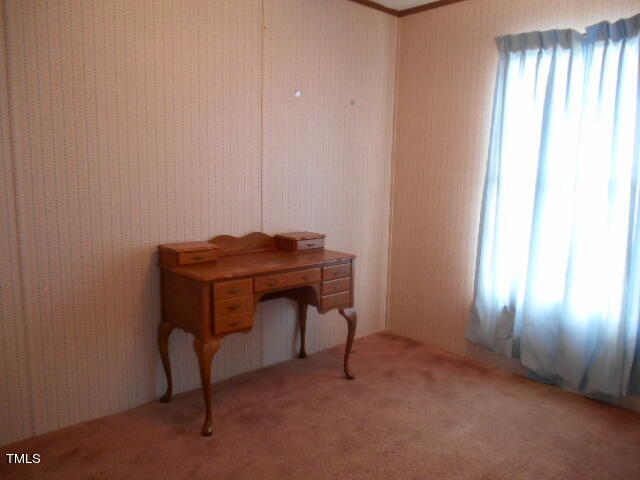 349 Tingen Road Broadway, NC 27505 - Photo 40 of 57 DSCN4459