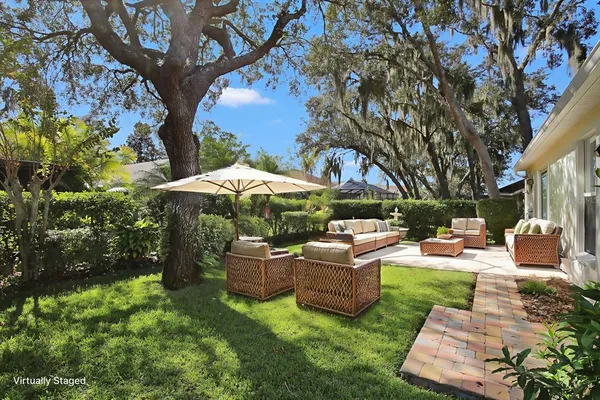 a view of a yard with plants and a large tree