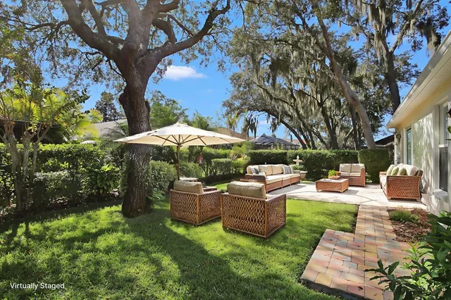 a view of a yard with plants and a large tree