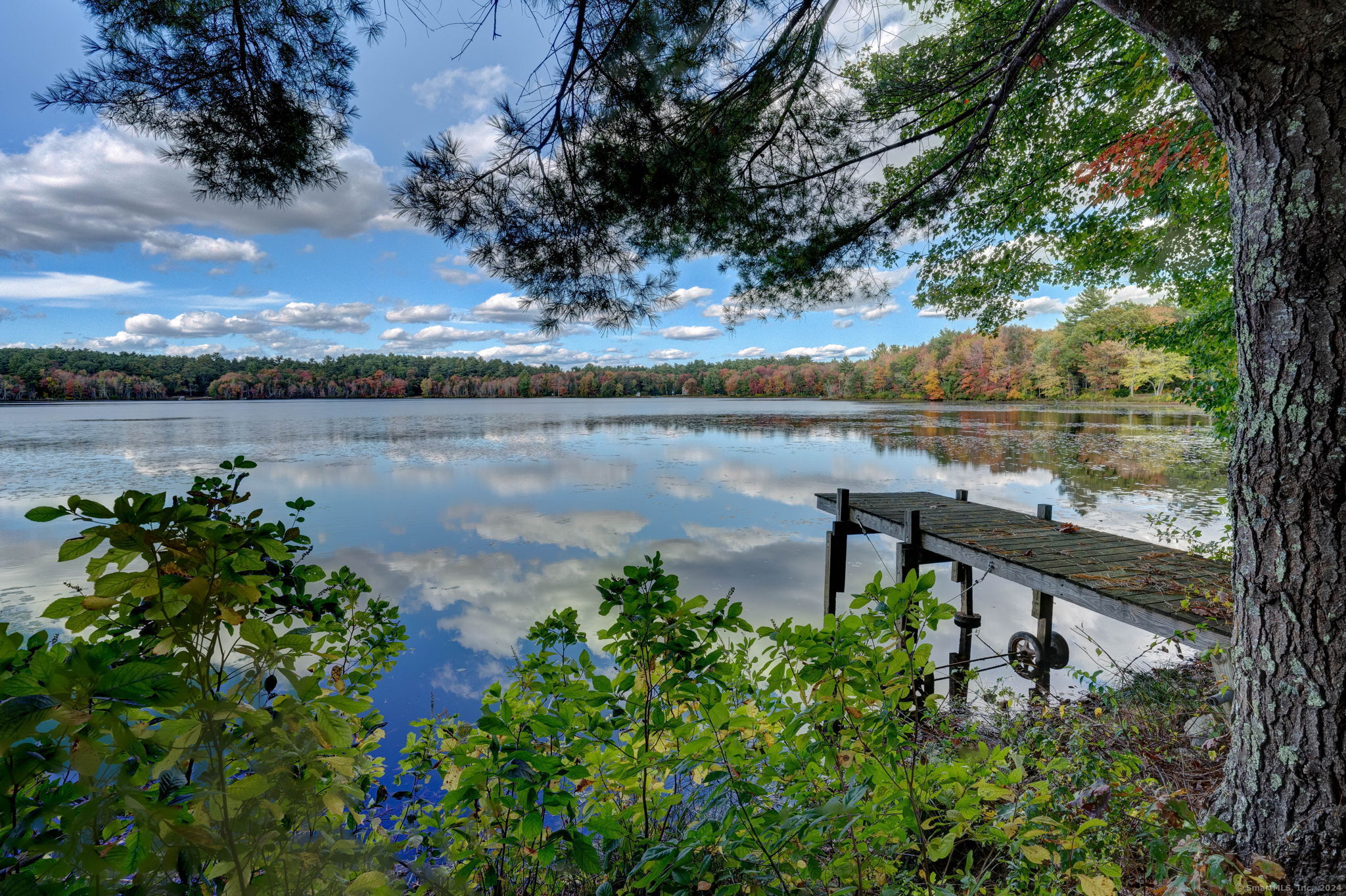a view of a lake with a mountain in the back