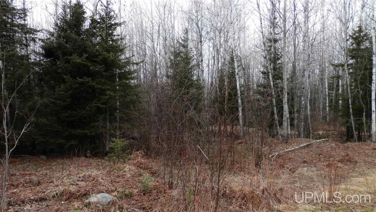 541 Parks Farm Road Iron River, MI 49935 - Photo 17 of 20