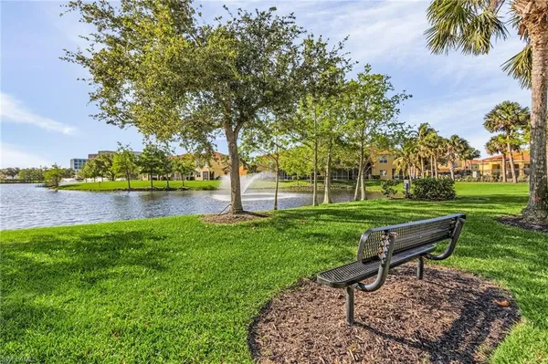 a view of a park with large trees