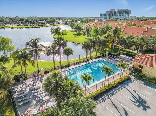 a view of a yard with plants