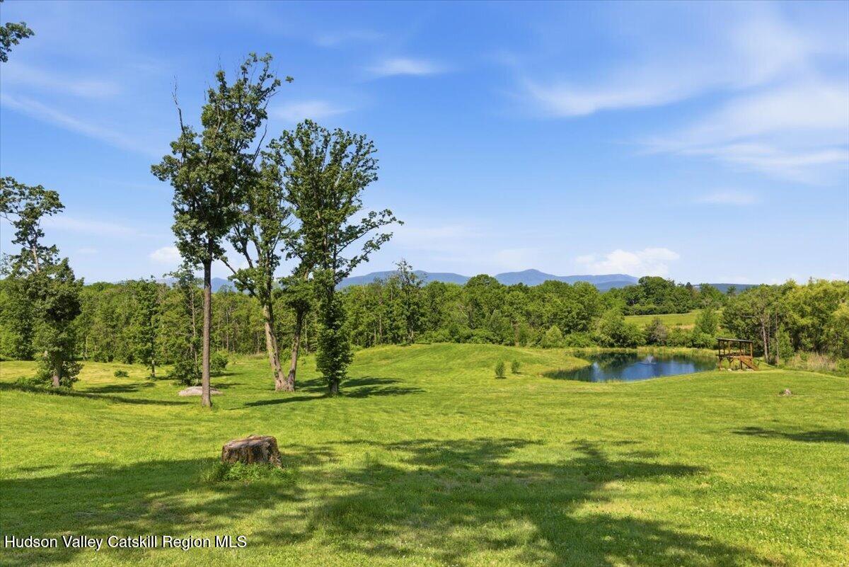 48 County Rte 14, Unit NONE Hudson, NY 12534 - Photo 44 of 48 41-034_MW2_0824