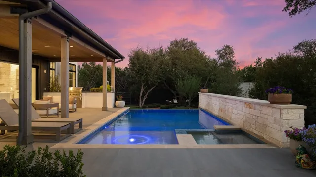 a view of a backyard with plants and a large tree