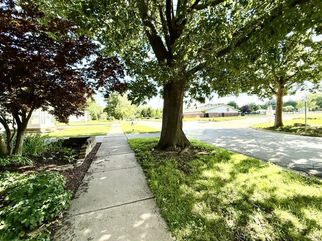 720 South New Street Champaign, IL 61820 - Photo 66 of 73 a view of a yard with plants and trees