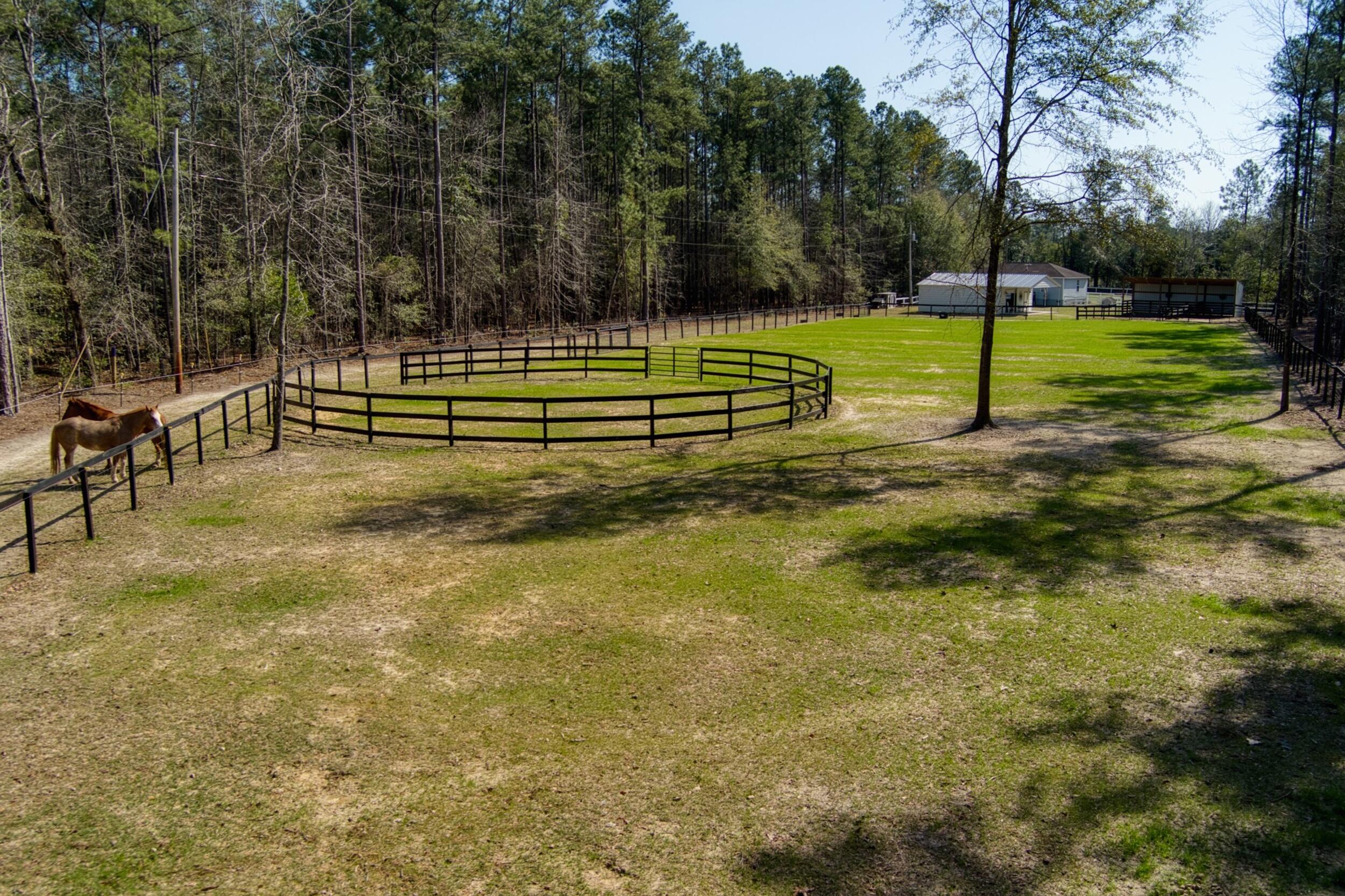 371 Nickletop Road Windsor, SC 29856 - Photo 56 of 62