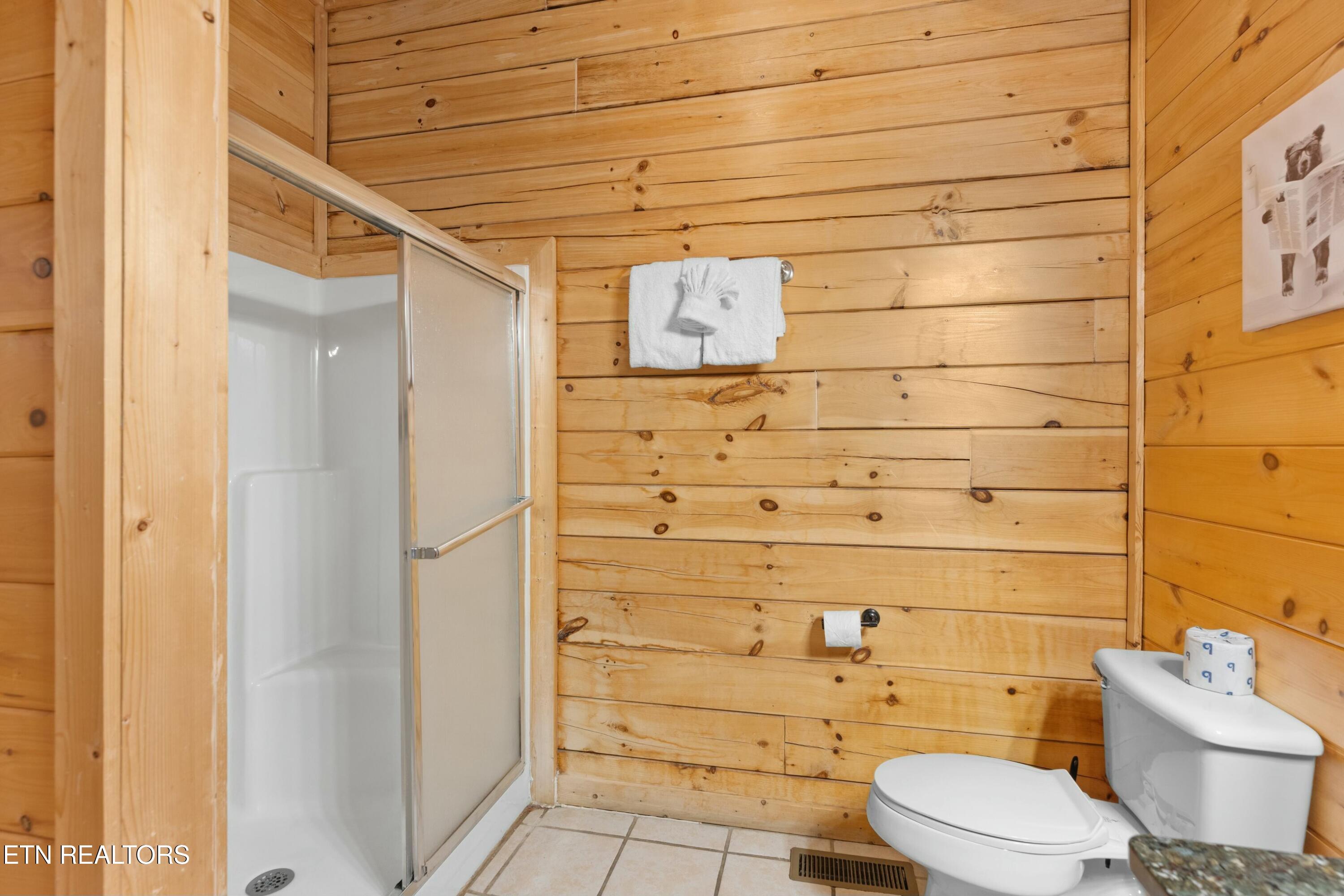 950 Black Bear Cub Way Sevierville, TN 37862 - Photo 18 of 53 tempImagenhbJHg