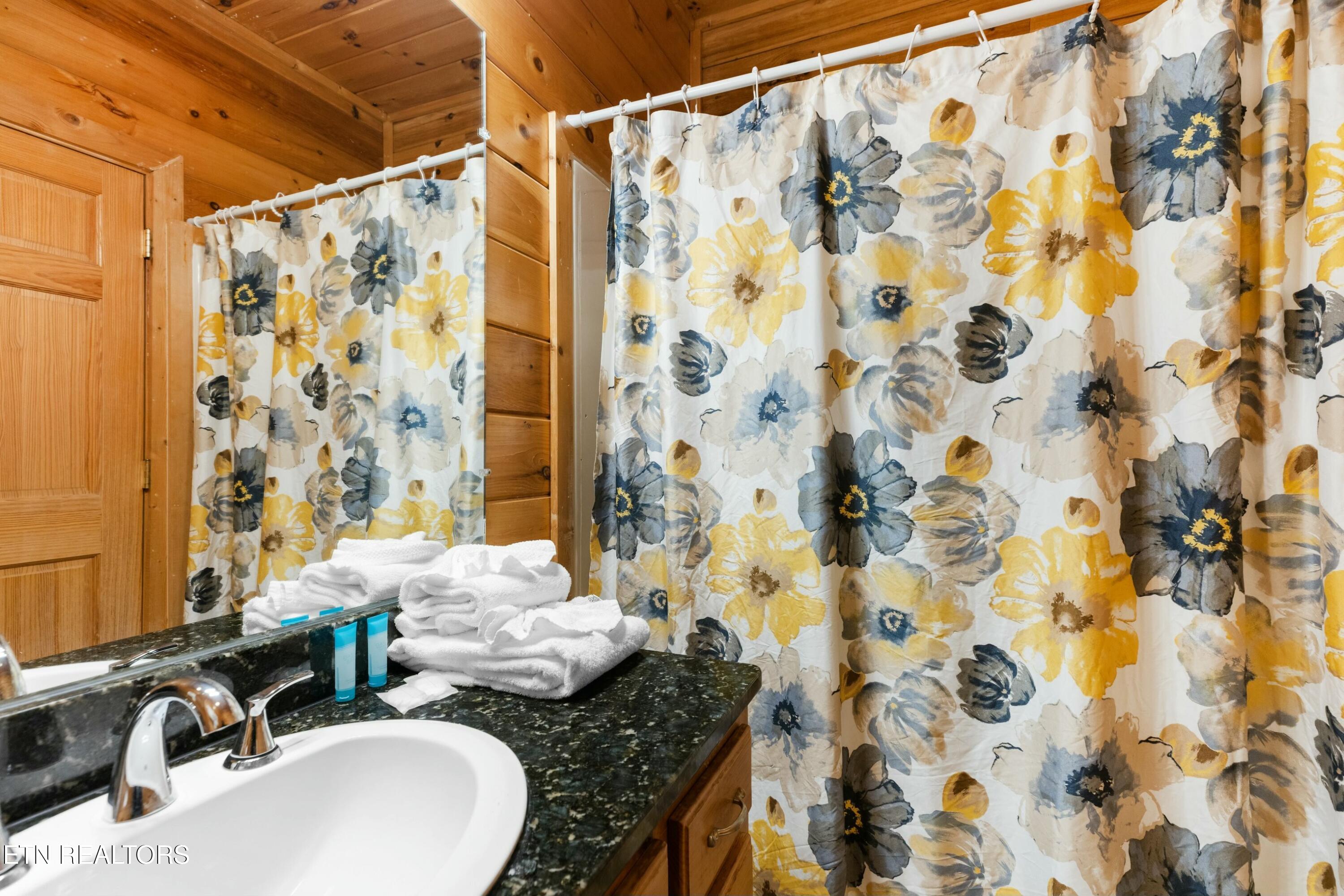 950 Black Bear Cub Way Sevierville, TN 37862 - Photo 29 of 53 tempImageEgYnWy