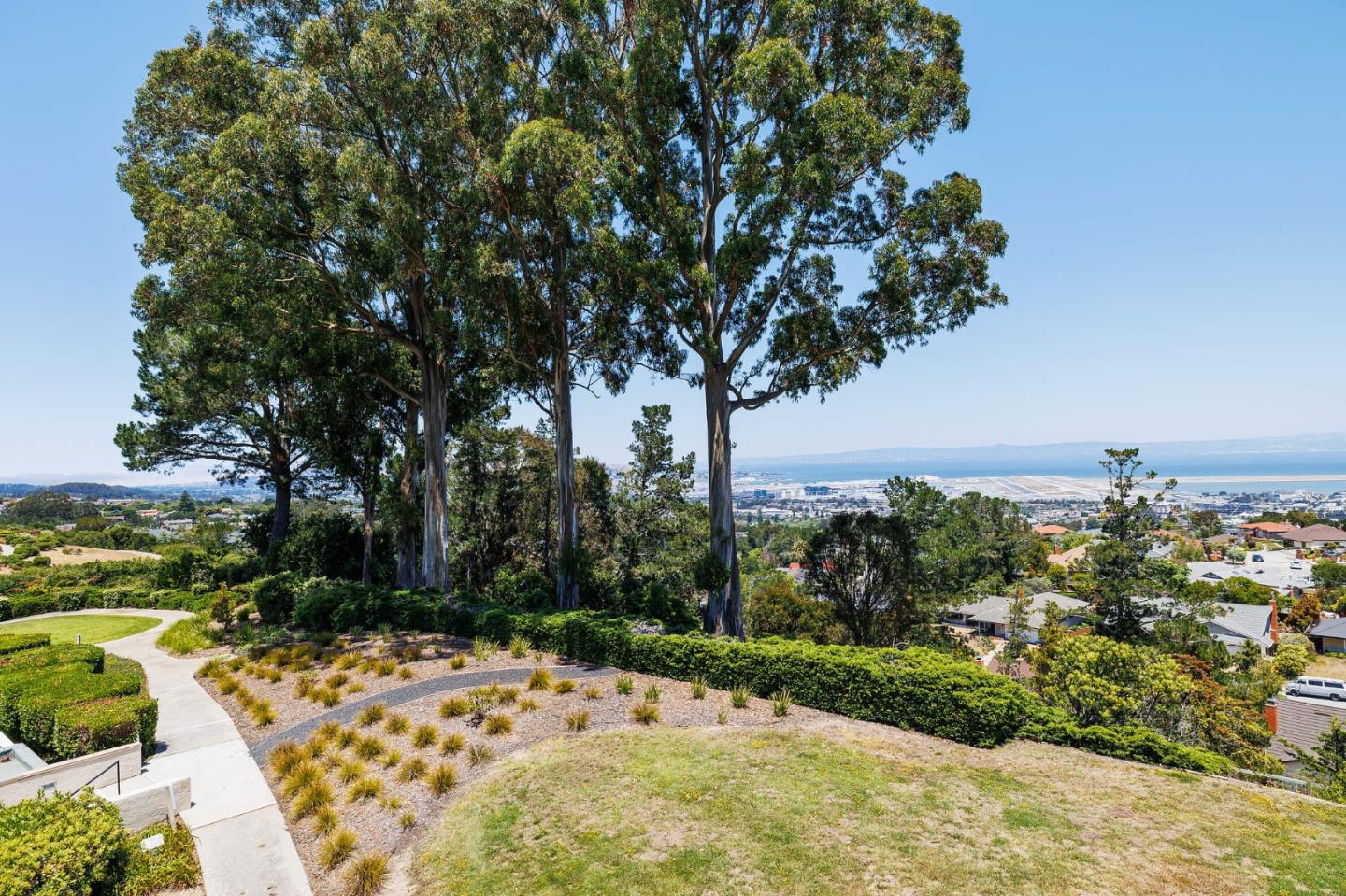 360 Vallejo Drive, Unit 113 Millbrae, CA 94030 - Photo 5 of 34 a view of a yard with a tree