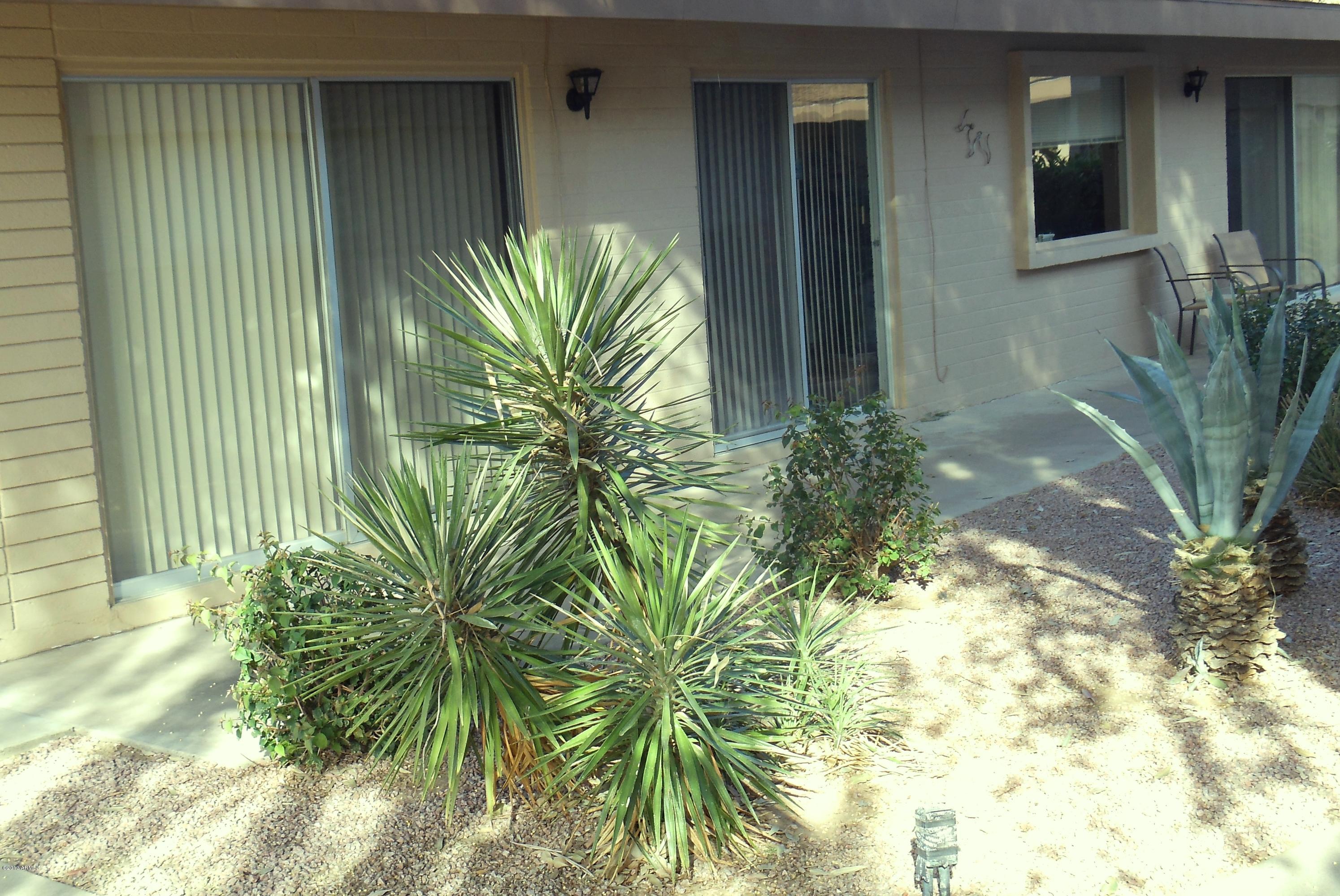 725 South Power Road, Unit 111 Mesa, AZ 85206 - Photo 4 of 15 Back patio2