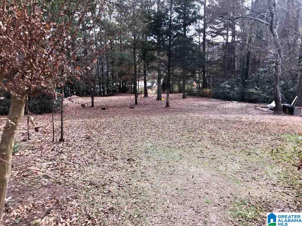 734 North Main Street Wedowee, AL 36278 - Photo 11 of 11
