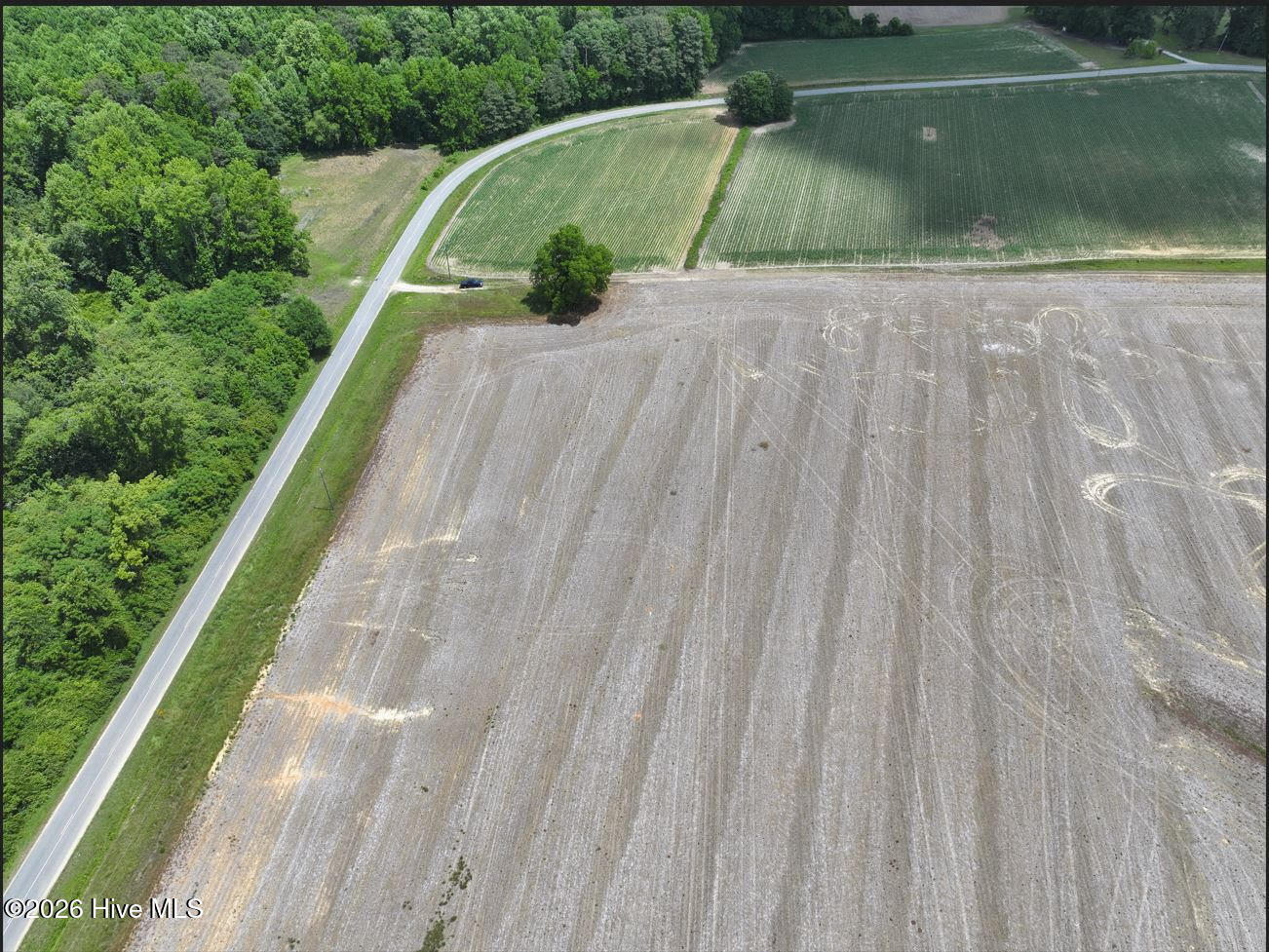 0 Rabbit Hollow Road Snow Hill, NC 28580 - Photo 5 of 16