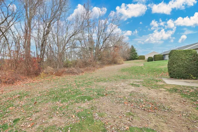 a view of a field with a tree