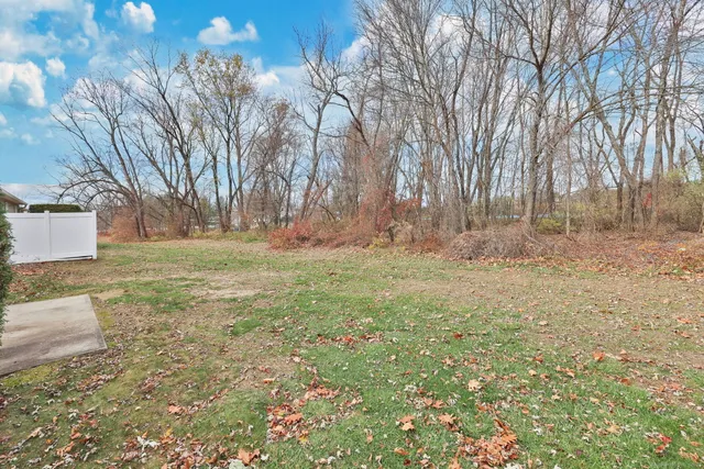 a backyard of a house with lots of green space